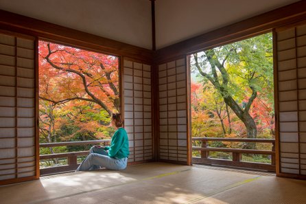 Japan autumn colors
